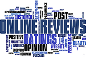 Automated Online Review Processing