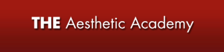 The Aesthetic Academy 2017