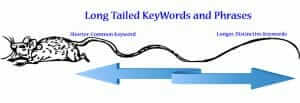 Using Long Tailed Keywords: PUMC