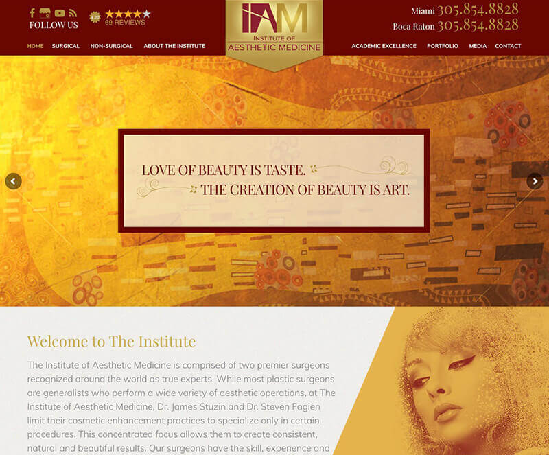 Cosmetic Plastic Surgery Marketing Website Design Seo Branding