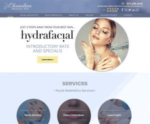 Web Design and Development for Chameleon Medspa